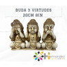Budha 3 Virtudes