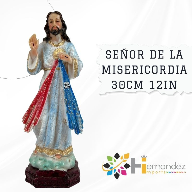 Señor De La Misericordia