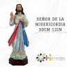 Señor De La Misericordia