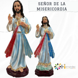 Señor De La Misericordia