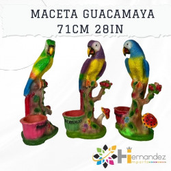 Maceta de Guacamaya