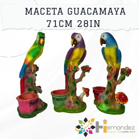 Maceta de Guacamaya